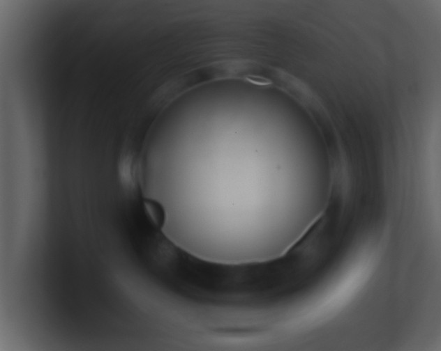 X0000101400191200807071226