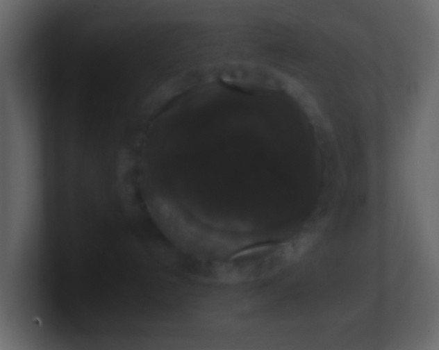 X0000101400192200807071226