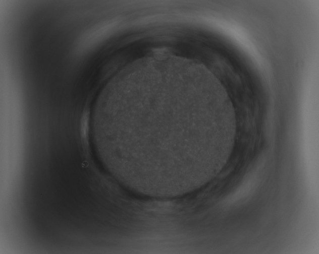 X0000101400194200807071226