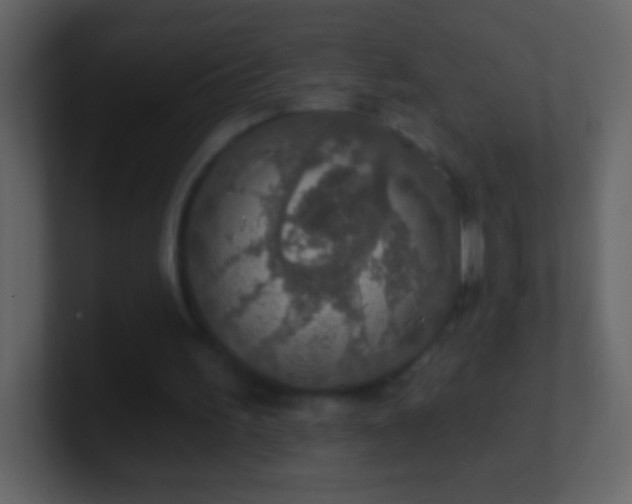 X0000101400195200807071225