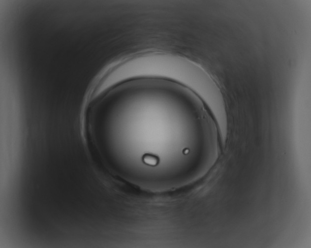 X0000101400196200807071225