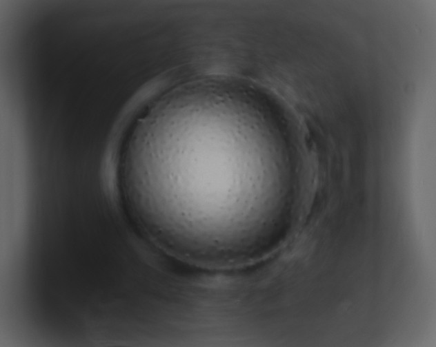 X0000101400197200807071225