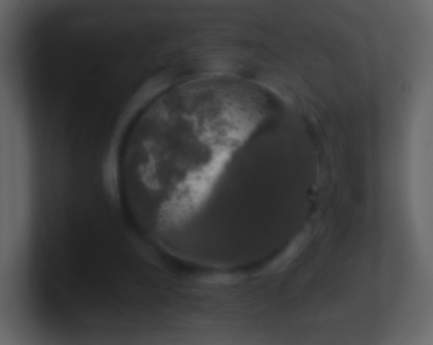 X0000101400198200807071225