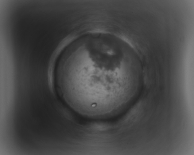 X0000101400199200807071225