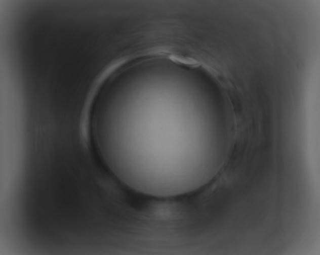 X0000101400200200807071225