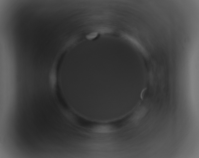 X0000101400202200807071225