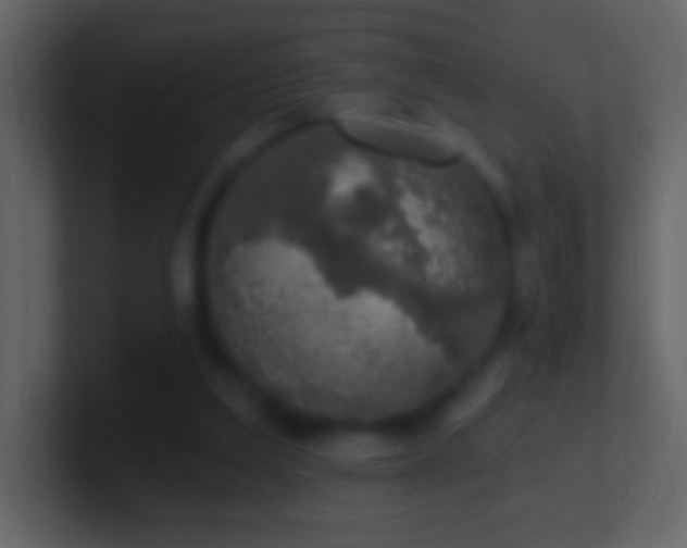 X0000101400203200807071225