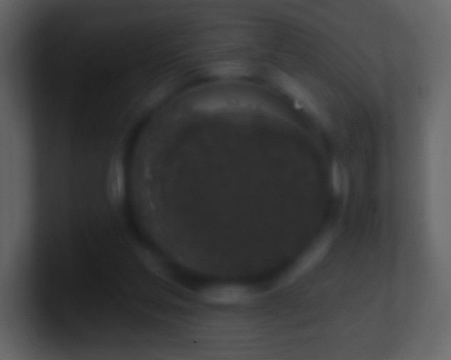 X0000101400205200807071225