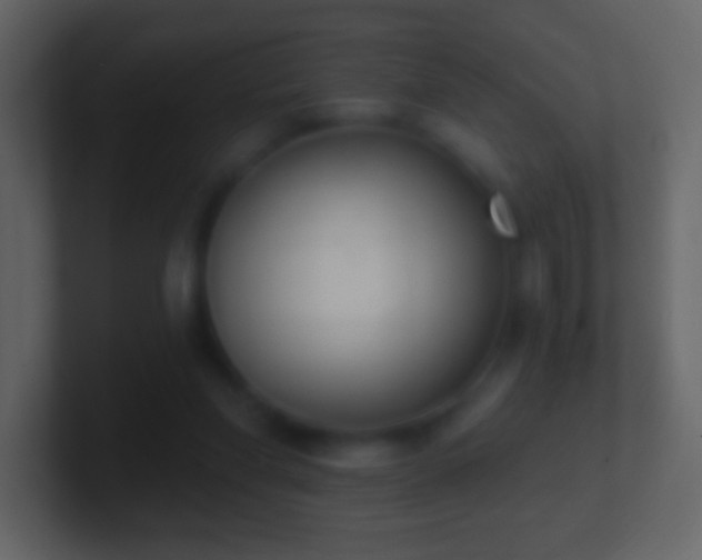 X0000101400206200807071225