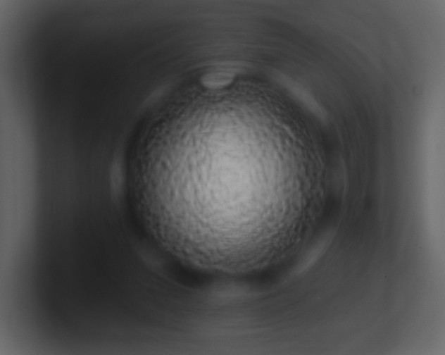 X0000101400207200807071225