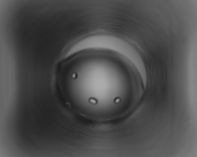 X0000101400208200807071225