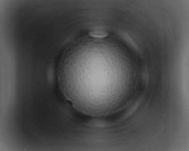 X0000101400211200807071225