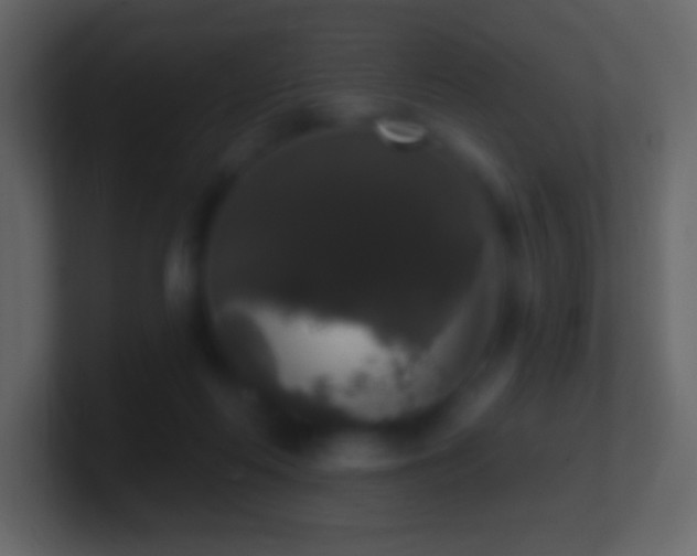 X0000101400214200807071225