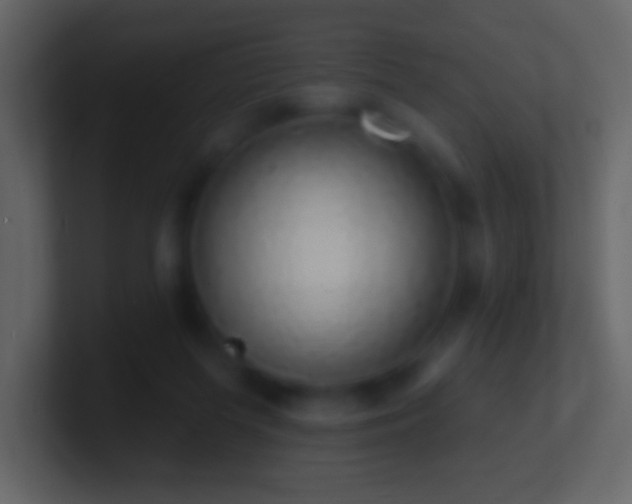 X0000101400215200807071225