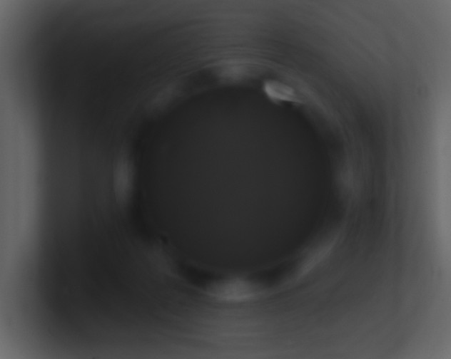 X0000101400219200807071225