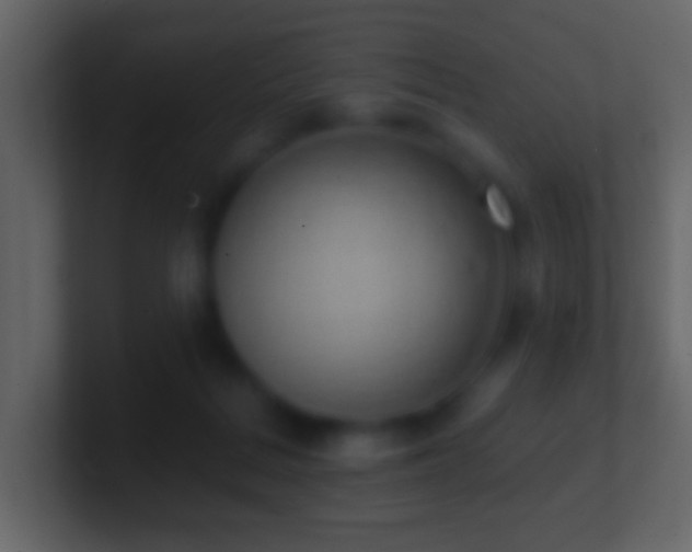 X0000101400220200807071225