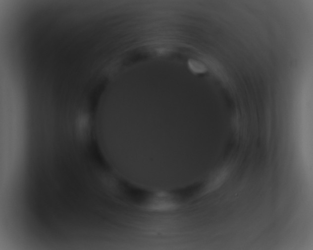 X0000101400222200807071225