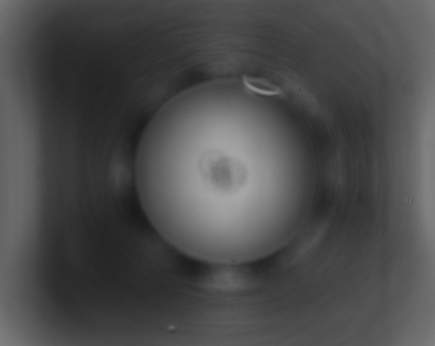 X0000101400226200807071225