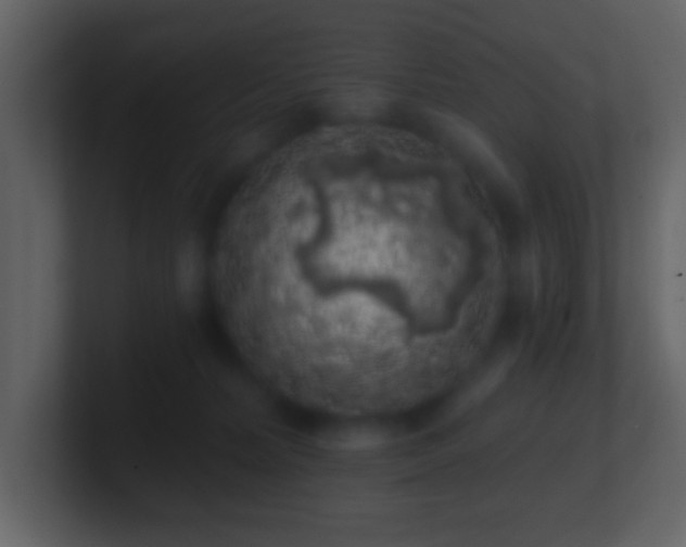 X0000101400228200807071225