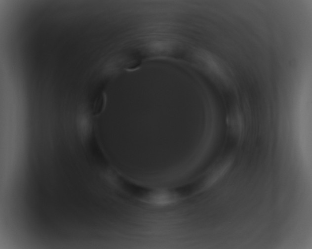 X0000101400231200807071225