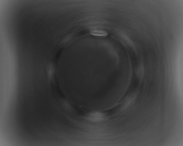 X0000101400233200807071225