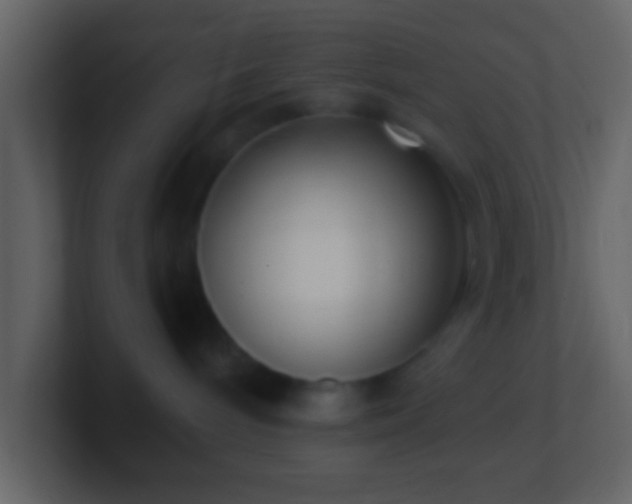 X0000101400240200807071225