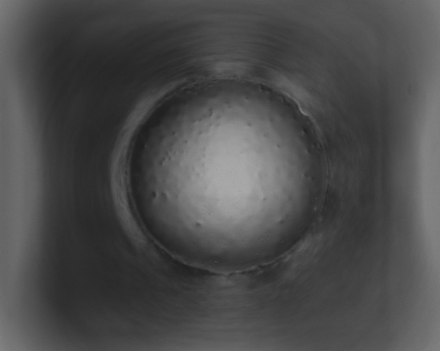 X0000101400241200807071224