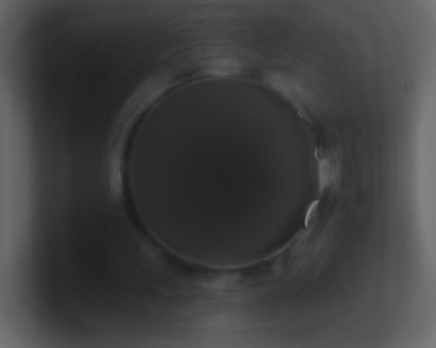 X0000101400243200807071224