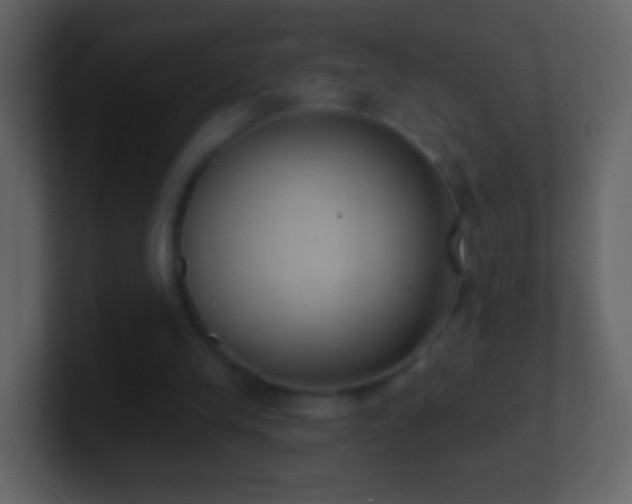 X0000101400245200807071224