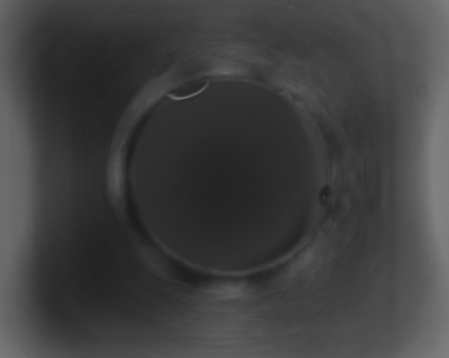 X0000101400247200807071224