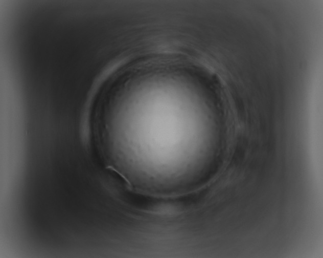 X0000101400248200807071224