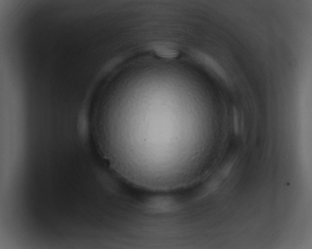 X0000101400252200807071224