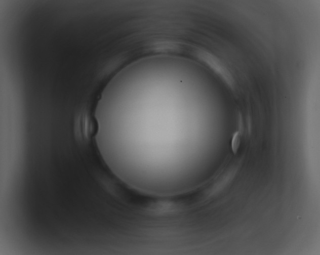 X0000101400253200807071224