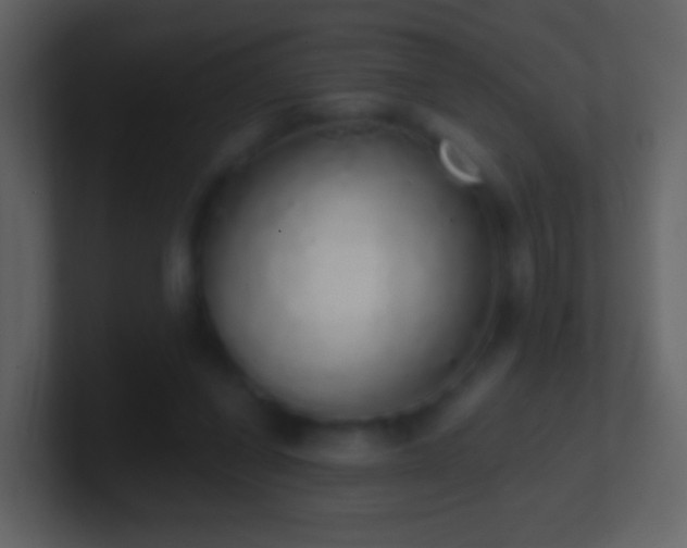 X0000101400254200807071224