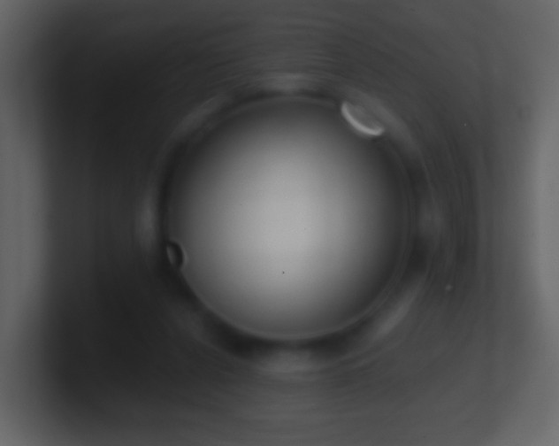 X0000101400256200807071224