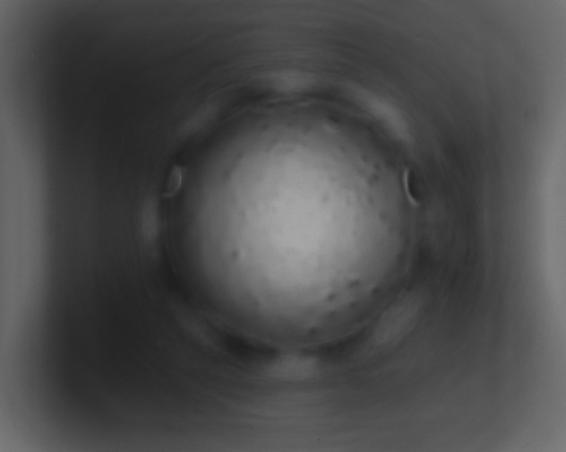 X0000101400257200807071224