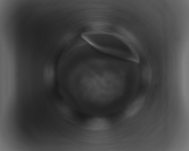 X0000101400260200807071225