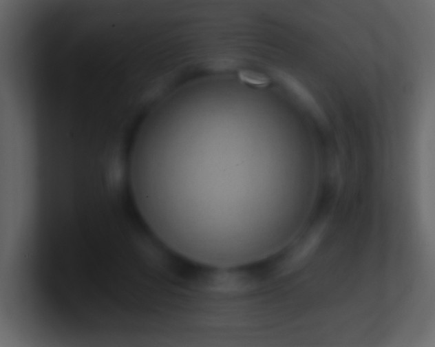 X0000101400261200807071225