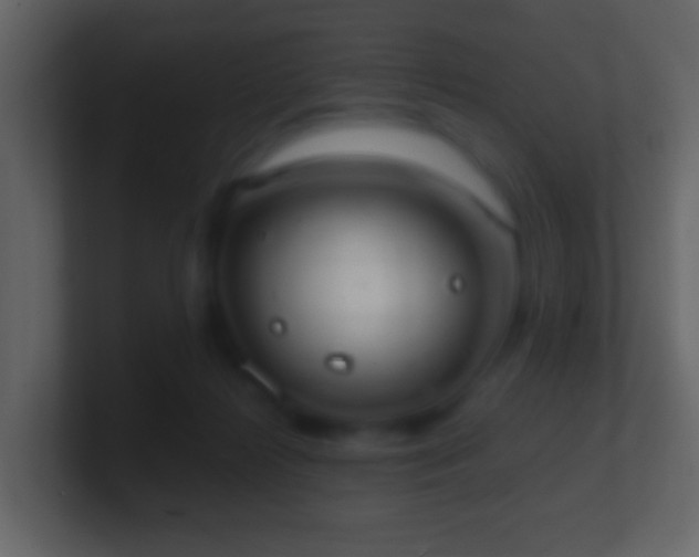 X0000101400268200807071225