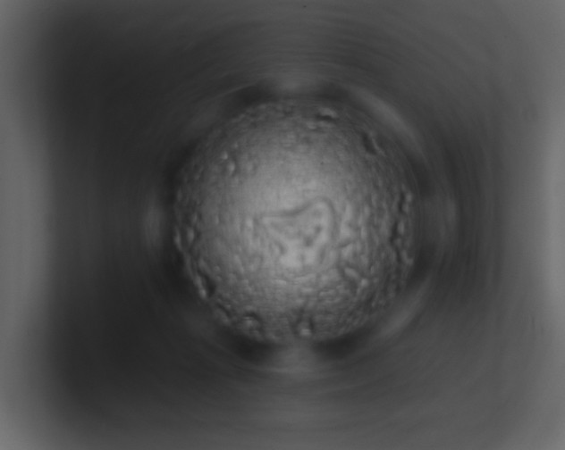 X0000101400269200807071225