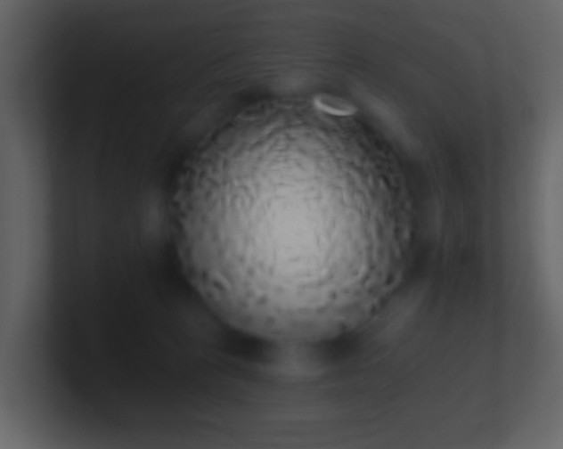 X0000101400273200807071225