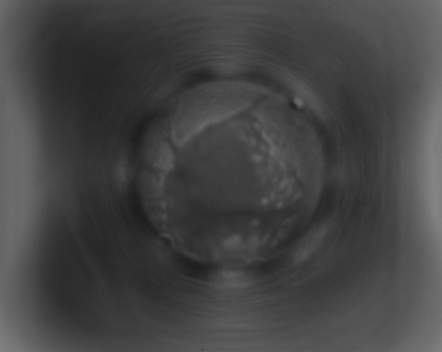 X0000101400277200807071225