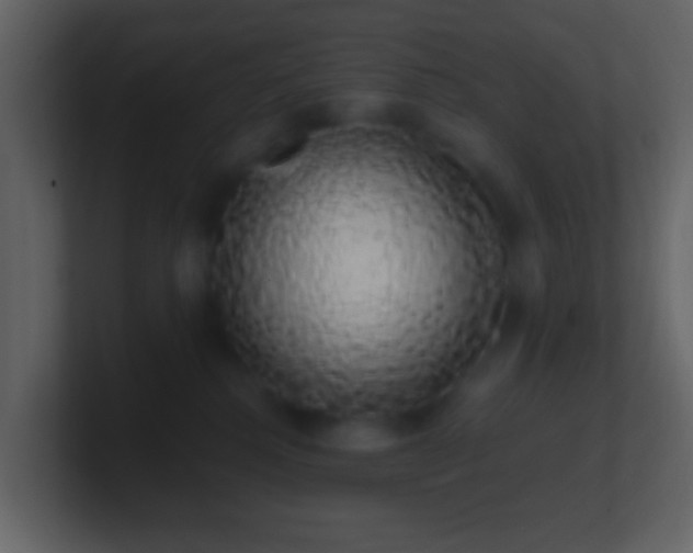 X0000101400280200807071225