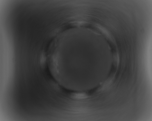 X0000101400284200807071225