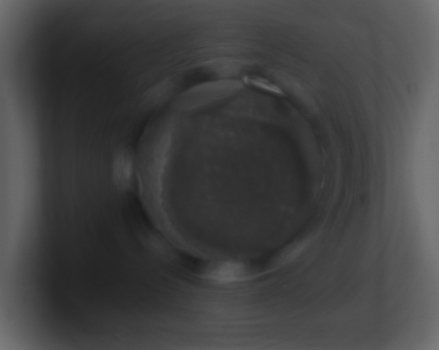 X0000101400288200807071225