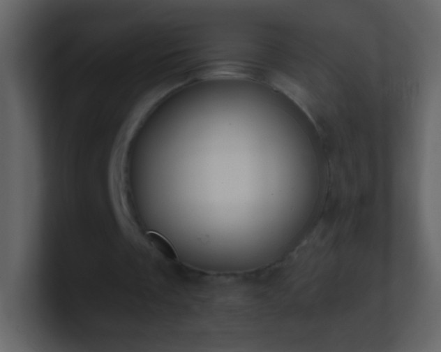 X0000101400289200807071224