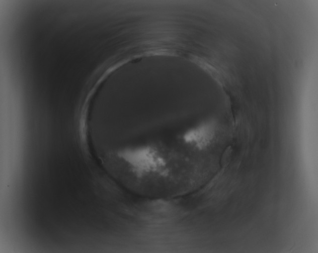 X0000101400290200807071224