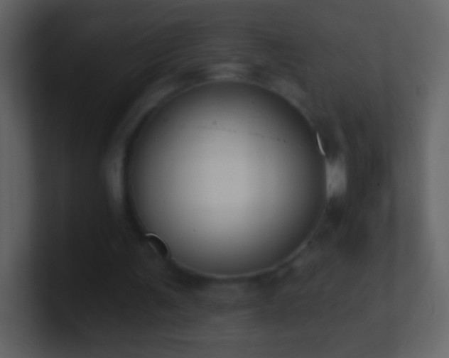 X0000101400291200807071224