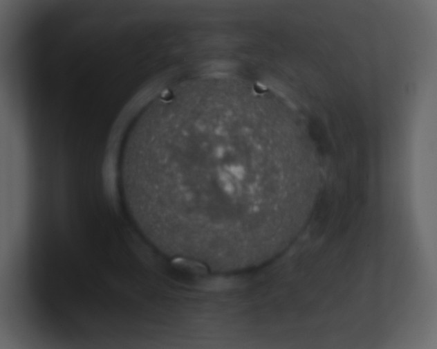 X0000101400293200807071224