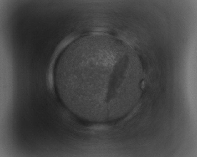 X0000101400294200807071224